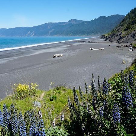 Lost Coast Hideaway Shelter Cove Extérieur photo